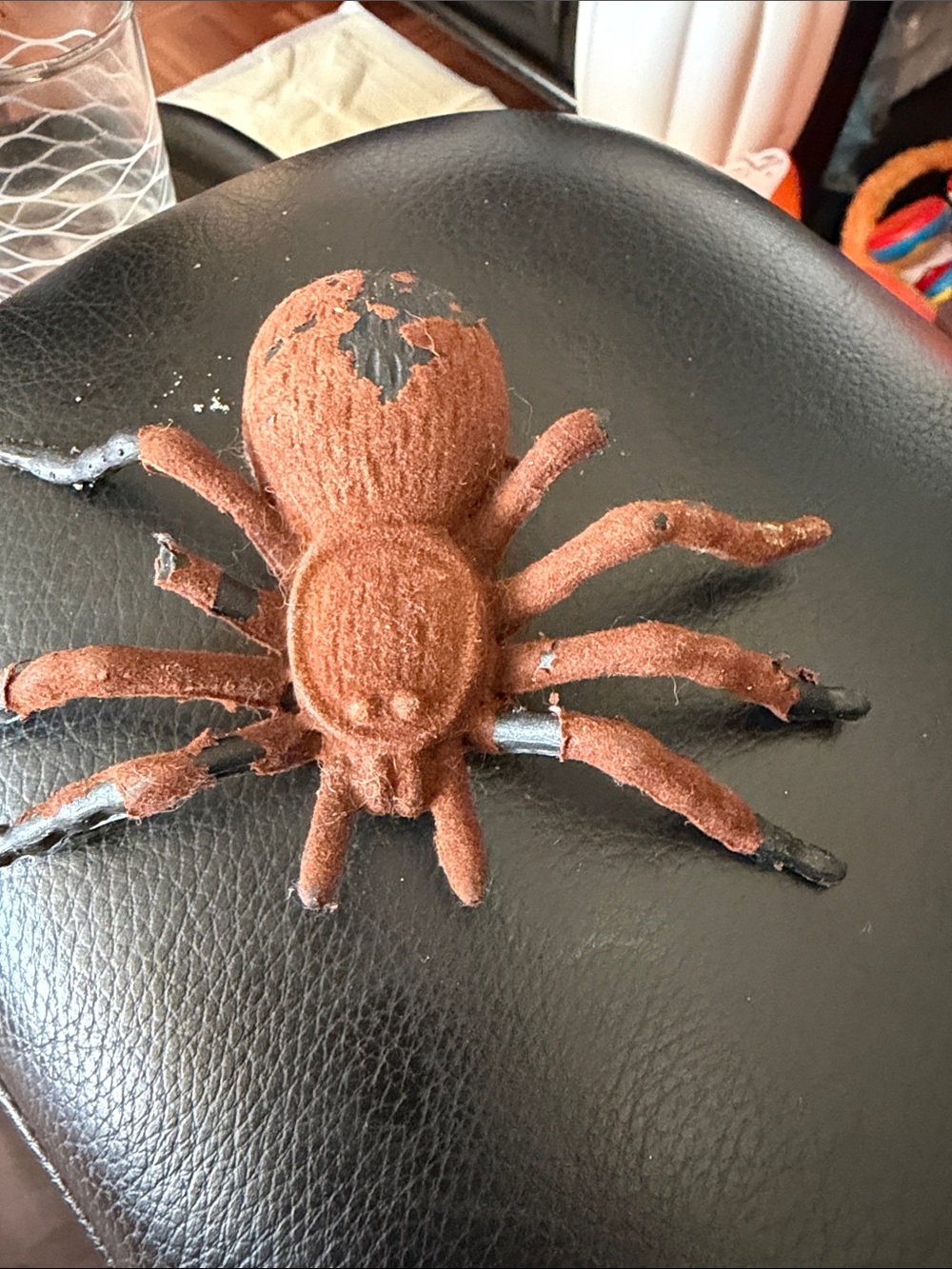 Hallmark Brown Plush Spider Reptile Enrichment Toy